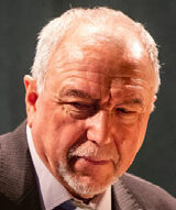 Rein Veidemann